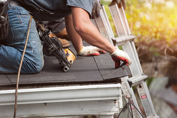 Best Shingle Roofing Installation  in Temperance, MI