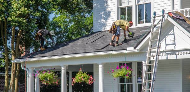 Best Metal Roofing Contractor  in Temperance, MI
